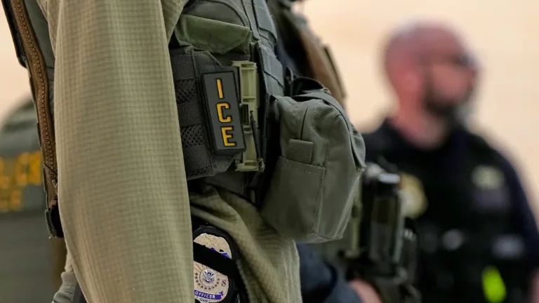 Umstrittene Neuanschaffung: US Senatoren fordern von ICE Verzicht auf Elektroschock Handschuhe