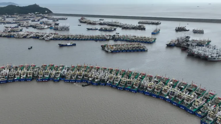 China bereitet sich auf Dolphin vor