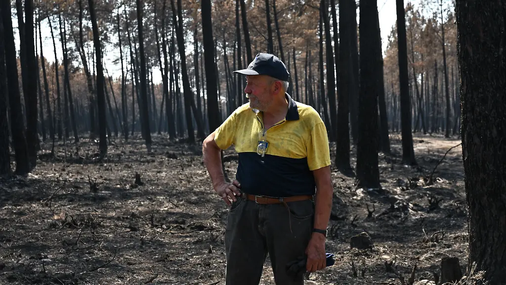 Schwere Entscheidungen und Wut: Wie ein Waldbauer gegen den Brand kämpft