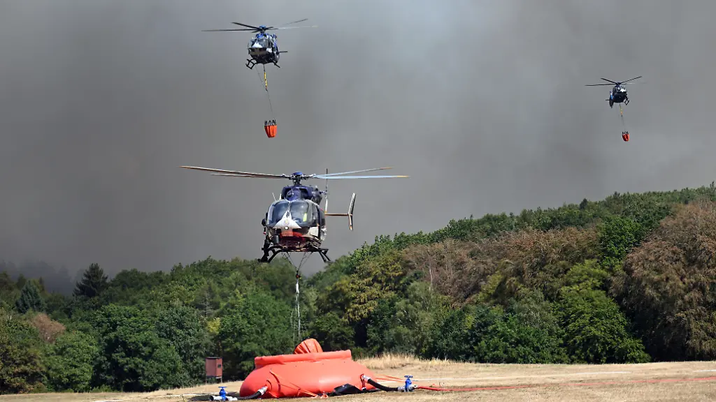 Rund 300 Hektar: Ministerin: Waldbrand in der Eifel wohl der größte in der NRW Historie