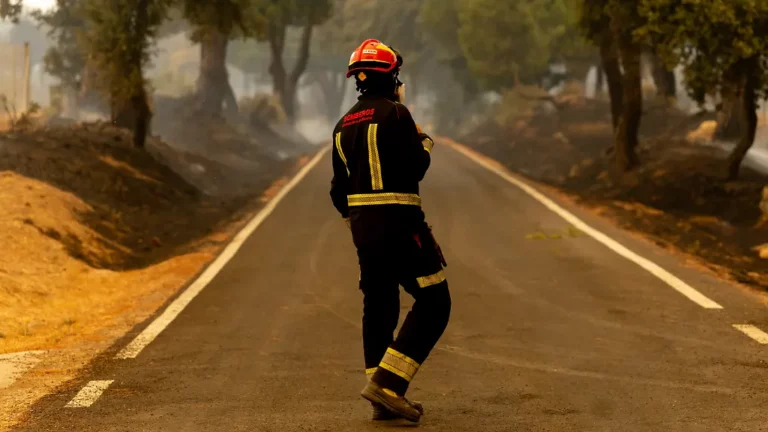 Hunderte Menschen wegen Waldbrandes in Spanien evakuiert