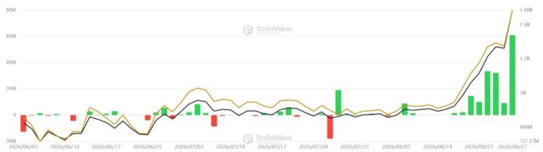 Solana ETFs: Wird SOL zum neuen Liebling der Wall Street?