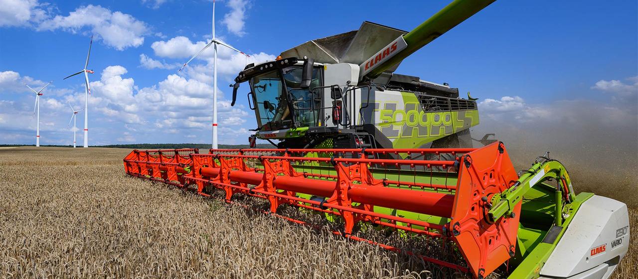 Schlechte Erntebilanz wegen Hitze und Trockenheit