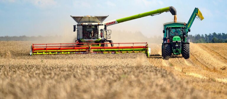 Trockenheit und Dürre: Getreideernte in Deutschland leidet stark