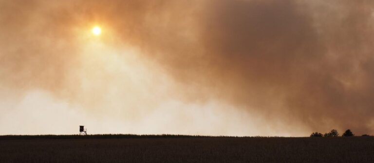 Kampf gegen die Flammen im Hürtgenwald