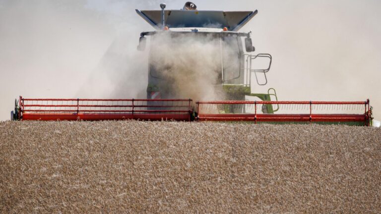 Ernährungssicherheit: Wie sinnvoll sind die Maßnahmen der Politik?