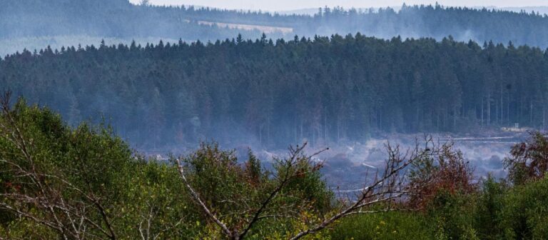 Feuer im Naturschutzgebiet: Erster Verdacht zur Brandursache im Hohen Venn