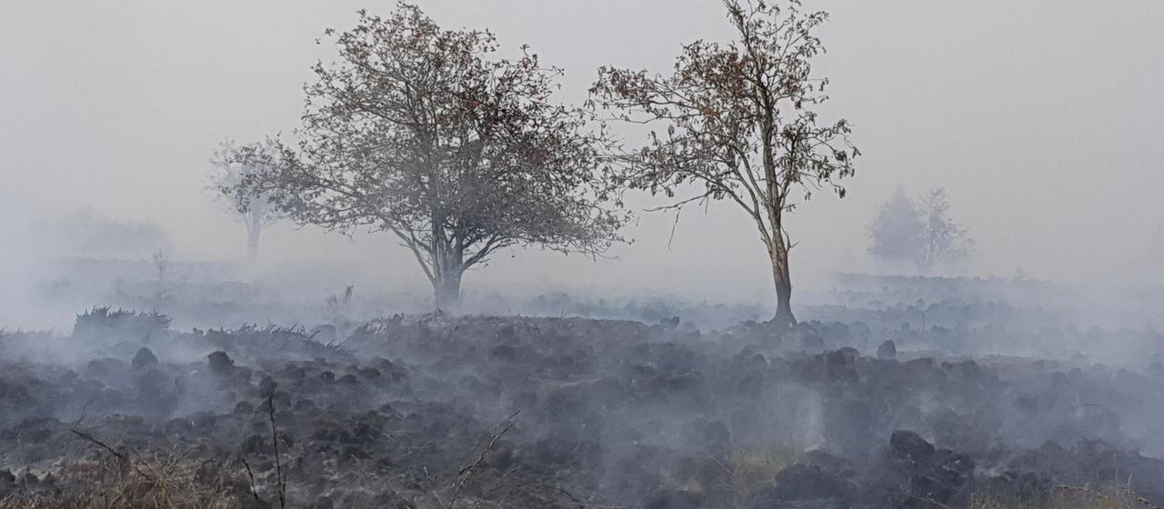 Grenzregion bei Monschau in NRW: Waldbrand in Belgien rückt näher