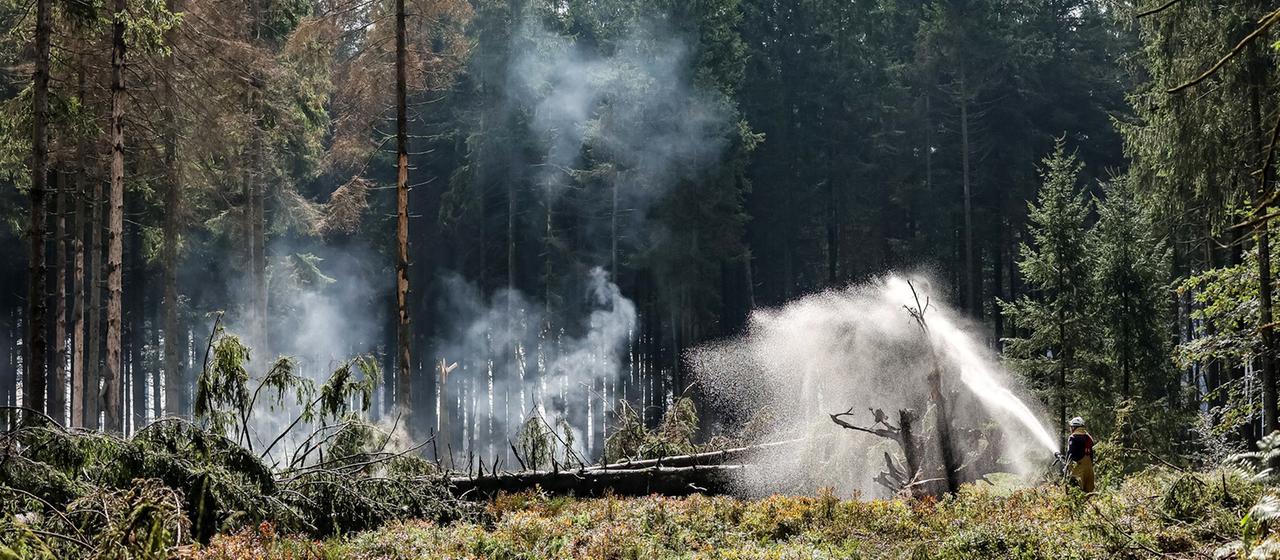 Waldbrand in Belgien nahe der deutschen Grenze unter Kontrolle