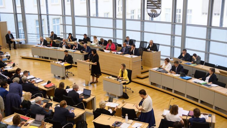 Landtagswahl in Sachsen Anhalt: Kann die AfD allein regieren?