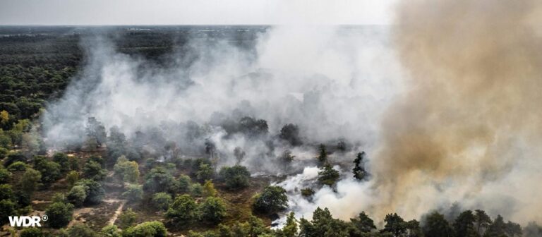 Waldbrand in den Niederlanden: Warnung vor Brandrauch in NRW