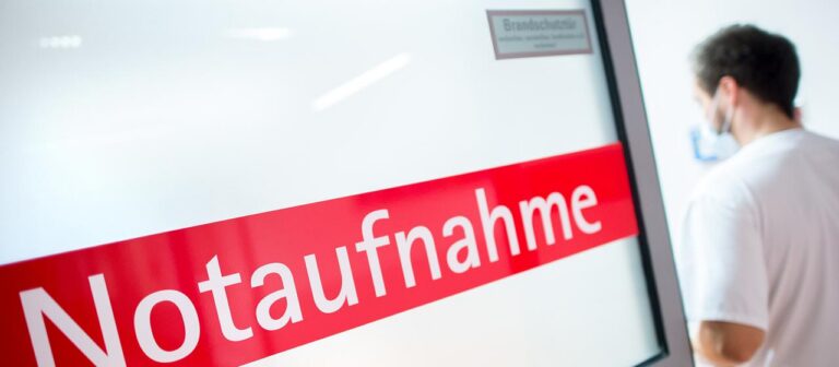 Hitzetote in Deutschland: Warum Experten mehr Prävention verlangen