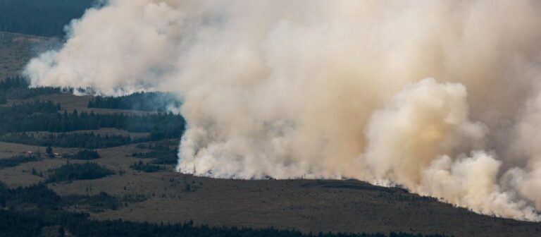 Waldbrand im Hohen Venn: Derzeit keine Evakuierungen in Monschau geplant