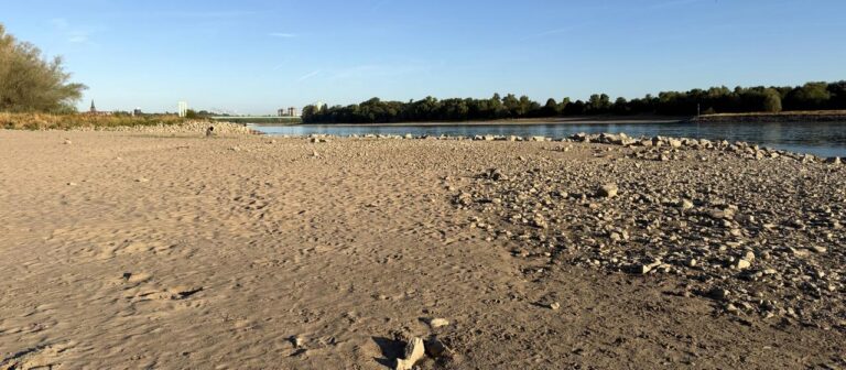 Folgen von Dürre und Niedrigwasser: Auswirkungen im Alltag