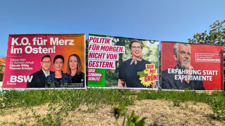 Warum Umfragen die Demokratie verzerren