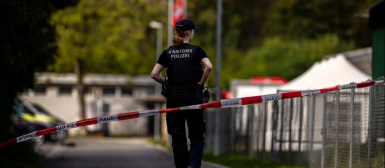 Verdächtiger nach Schüssen bei Rave in der Schweiz festgenommen