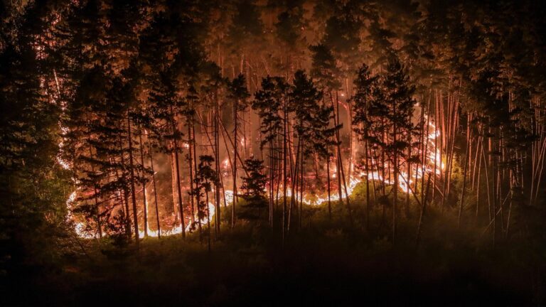 Waldbrände: Warum Rauch und Feinstaub gefährlich sind