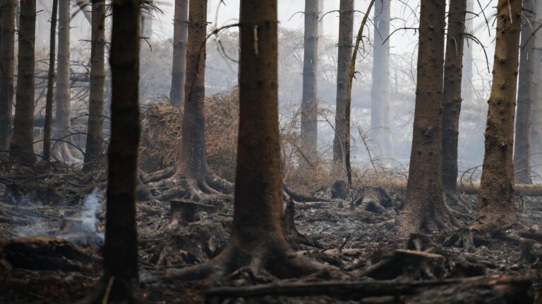 SPD Klimaplan: Später Vorstoß, jetzt müssen Taten folgen