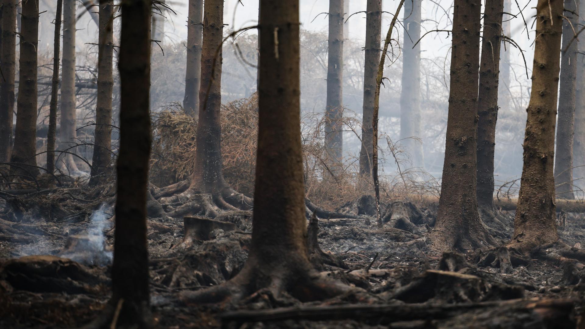 SPD Klimaplan: Später Vorstoß, jetzt müssen Taten folgen