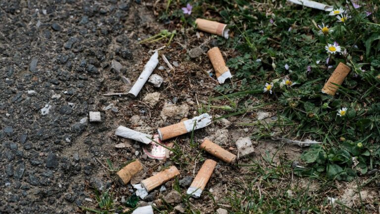 Nicht nur Nikotin: Wie Zigaretten und Vapes die Umwelt belasten