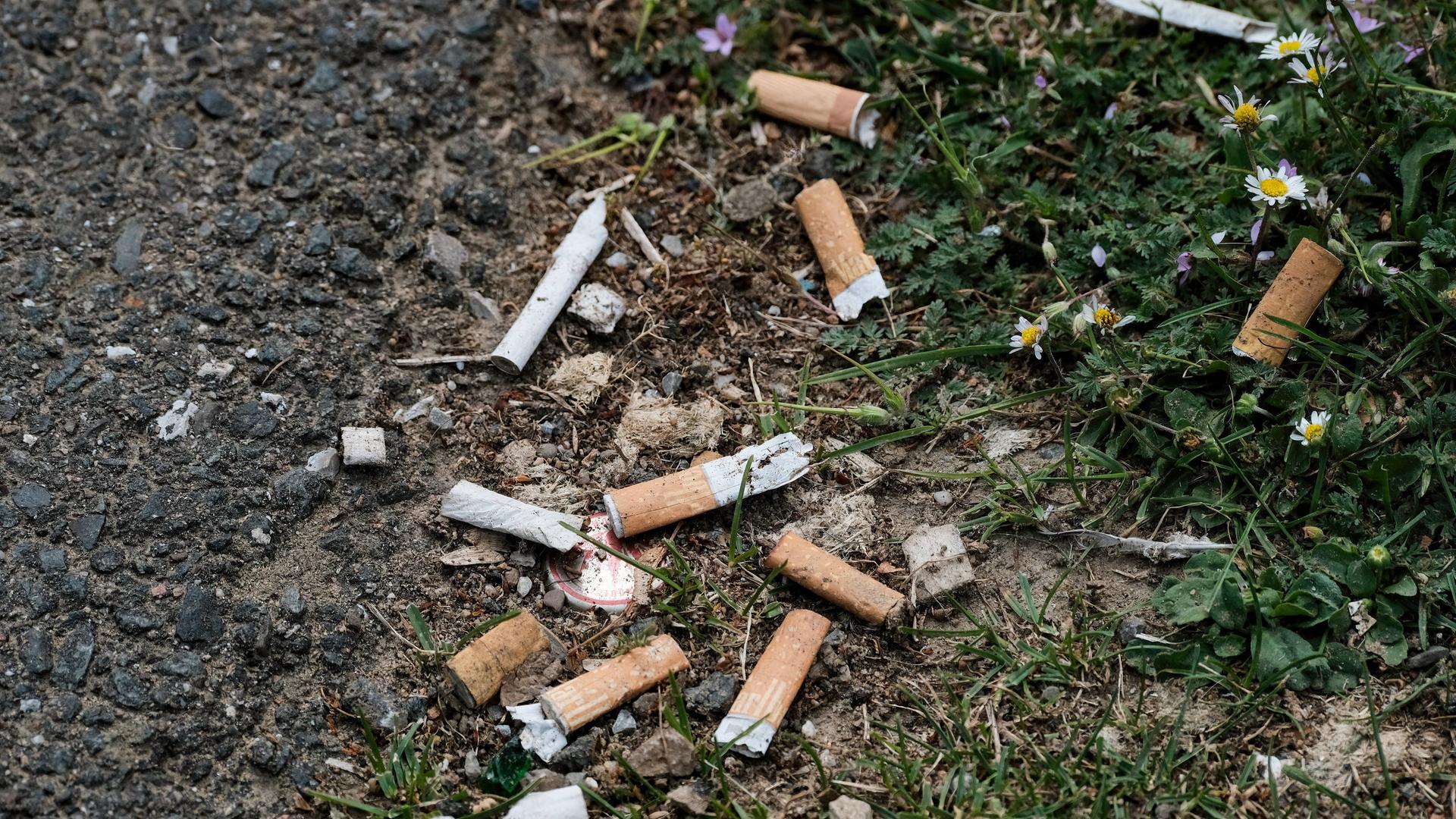 Nicht nur Nikotin: Wie Zigaretten und Vapes die Umwelt belasten