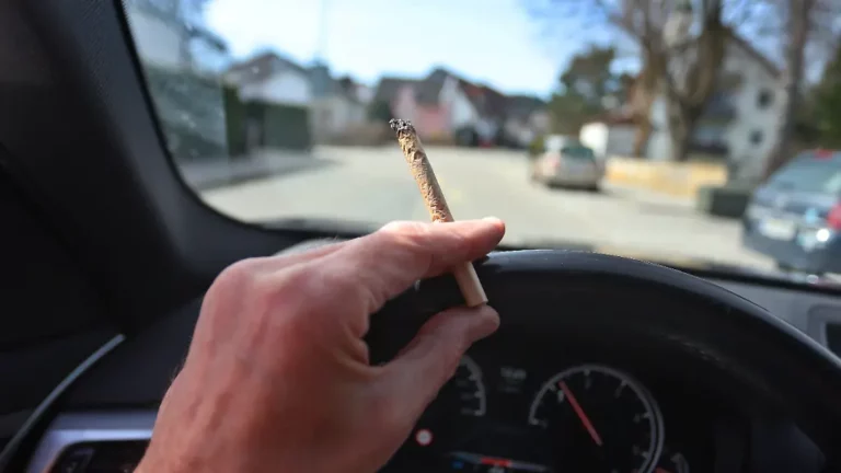Reaktion auf Legalisierung: Cannabisunfälle sollen künftig in die Verkehrsstatistik aufgenommen werden