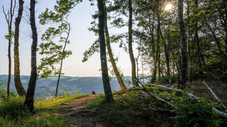 Verbund AG startet im Sauerland in Richtung Grünstromziel 2030