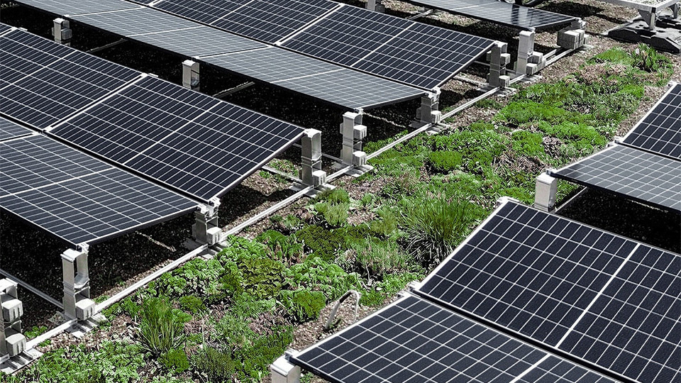 Solare Gründächer effizient planen und absichern: Jetzt Webinaraufzeichnung anschauen
