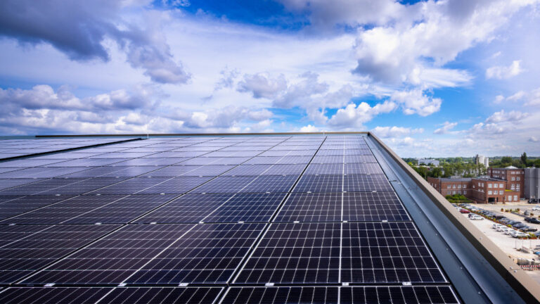 Goldbeck digitalisiert das Netzanschlussverfahren von Solaranlagen mit Carbonfreed