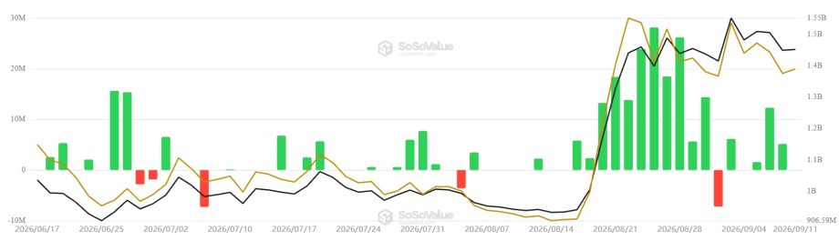XRP Entkopplung: Wo Ripple jetzt gegen Bitcoin gewinnt