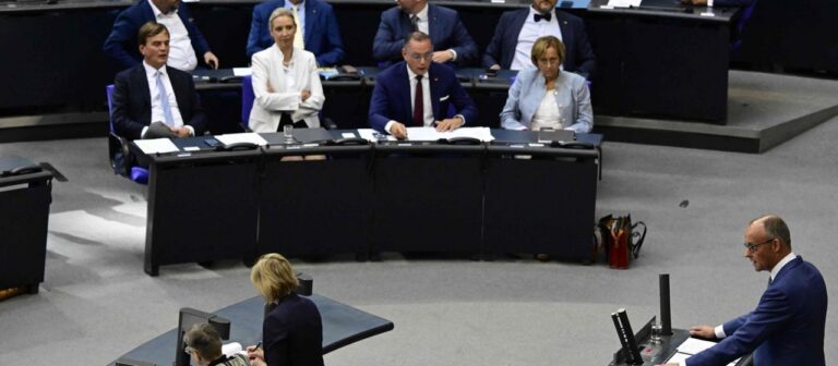 Merz gegen die AfD im Bundestag: Sie sind eine destruktive Kraft