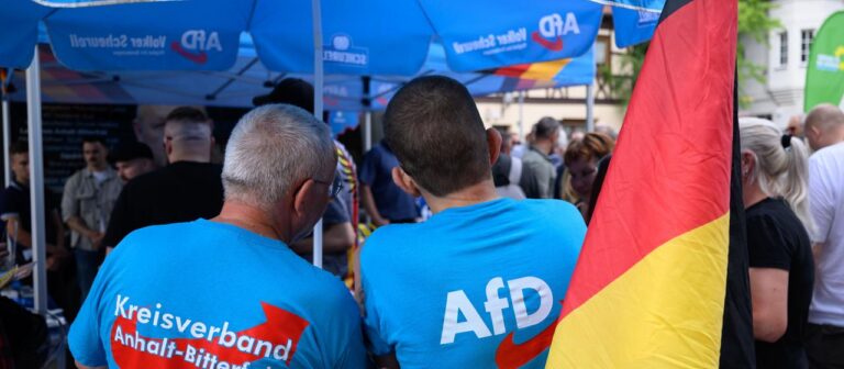 Landtagswahl in Sachsen Anhalt: Wie viel Macht hätte eine AfD Regierung?