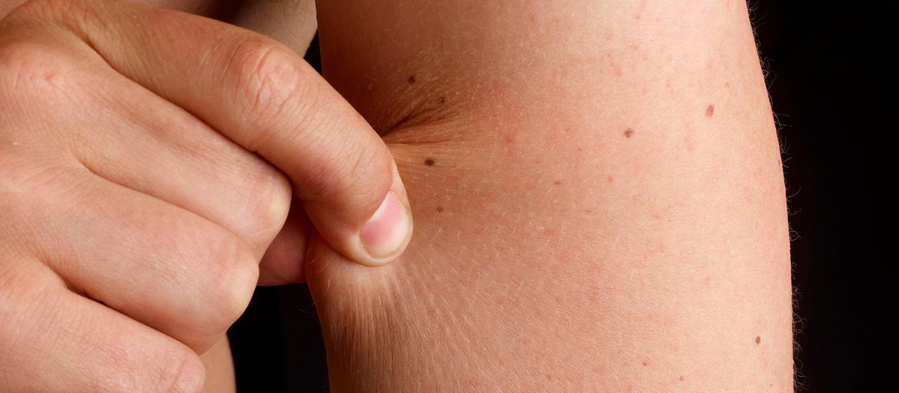 Renommierter Körber Preis für Zellforscherin Wickström