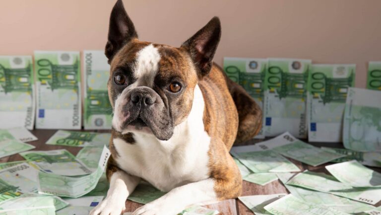 Krypto Trader kassiert 10 Millionen Dollar: So ging er vor