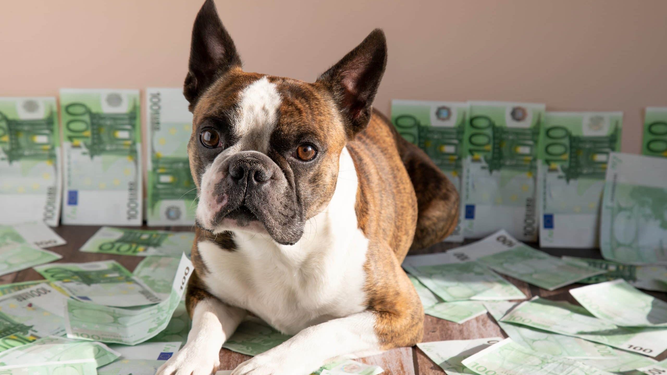 Krypto Trader kassiert 10 Millionen Dollar: So ging er vor