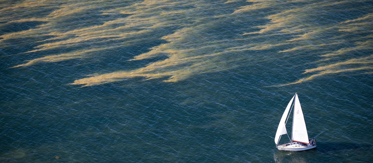 Nordsee und Ostsee waren im Sommer deutlich zu warm