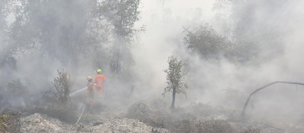 Hunderttausende Hektar Wald brennen in Indonesien
