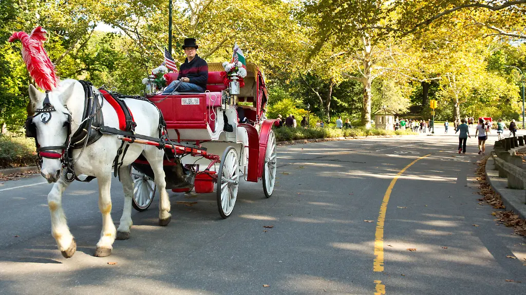 Mamdani fordert Verbot: Pferdekutschen im Central Park in New York vor dem Aus