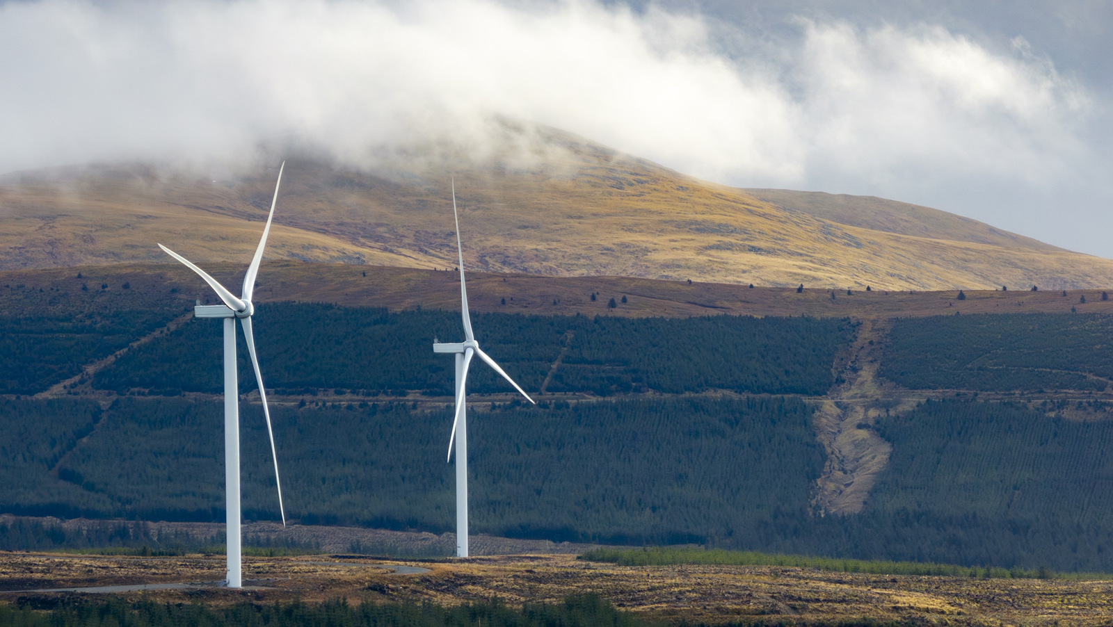 192 Megawatt für Puke Kapo Hau: Neuseeland baut wieder Windparks