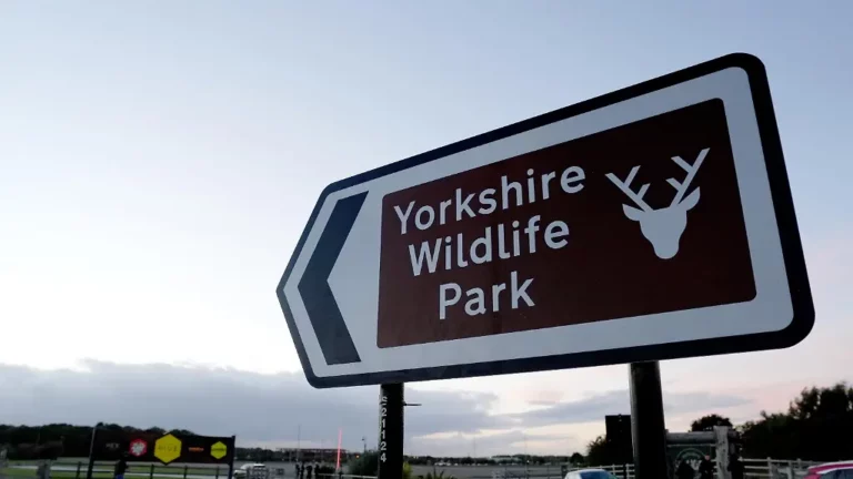 Tragischer Vorfall in England: Mann stirbt nach Tigerattacke im Zoo