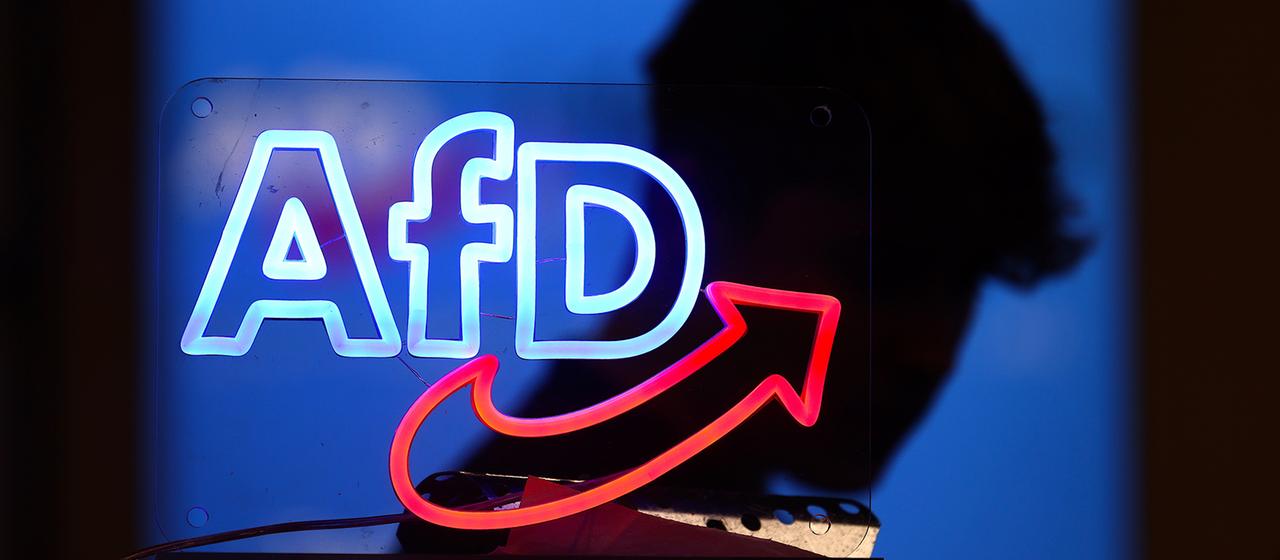 AfD bestätigt Hackerangriff auf E Mail Konten