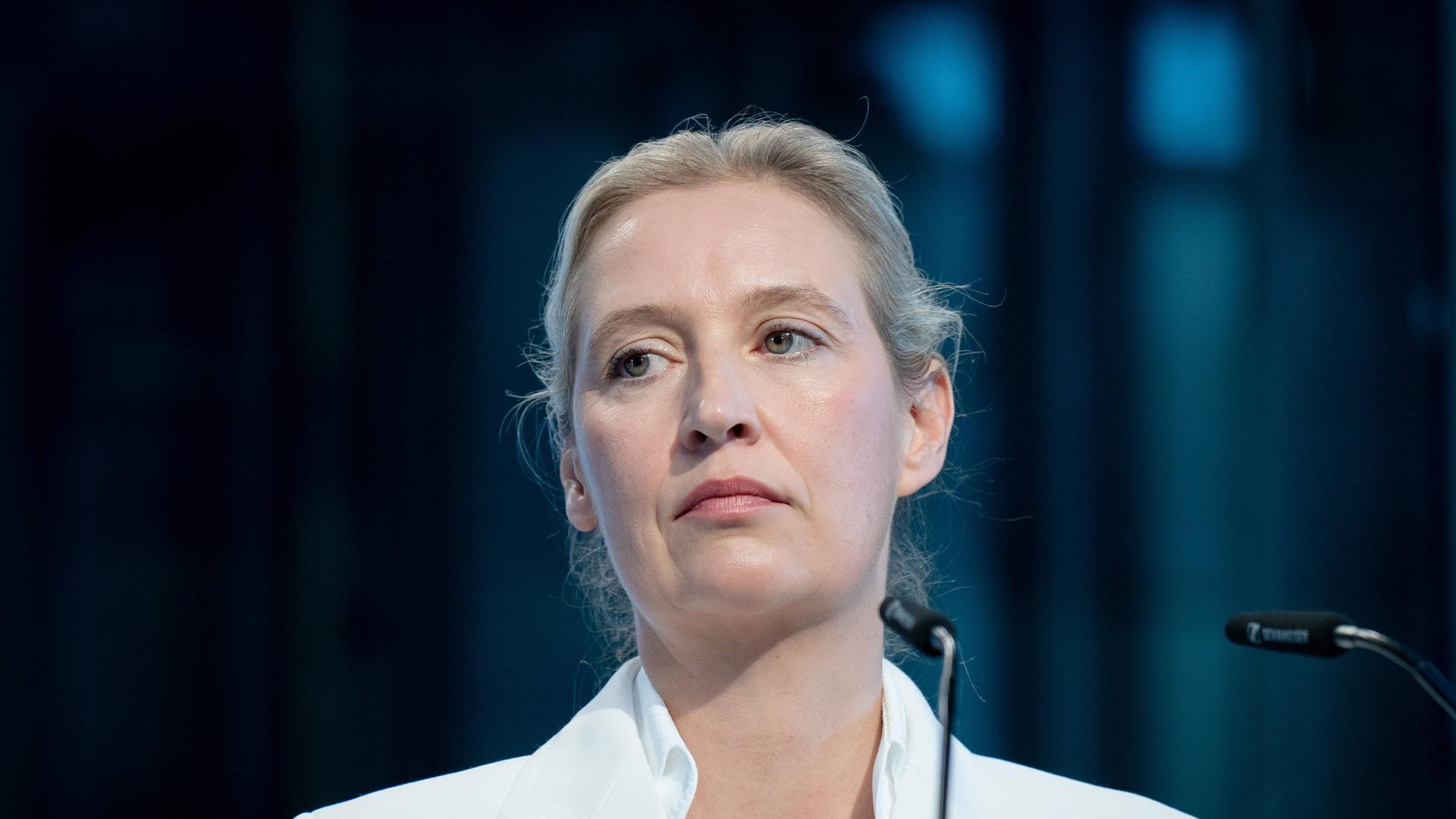 AfD Leaks: Was verraten die Mails über Weidel, Höcke und Co.?