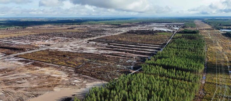 Finnland: KI Boom auf Kosten der Natur?