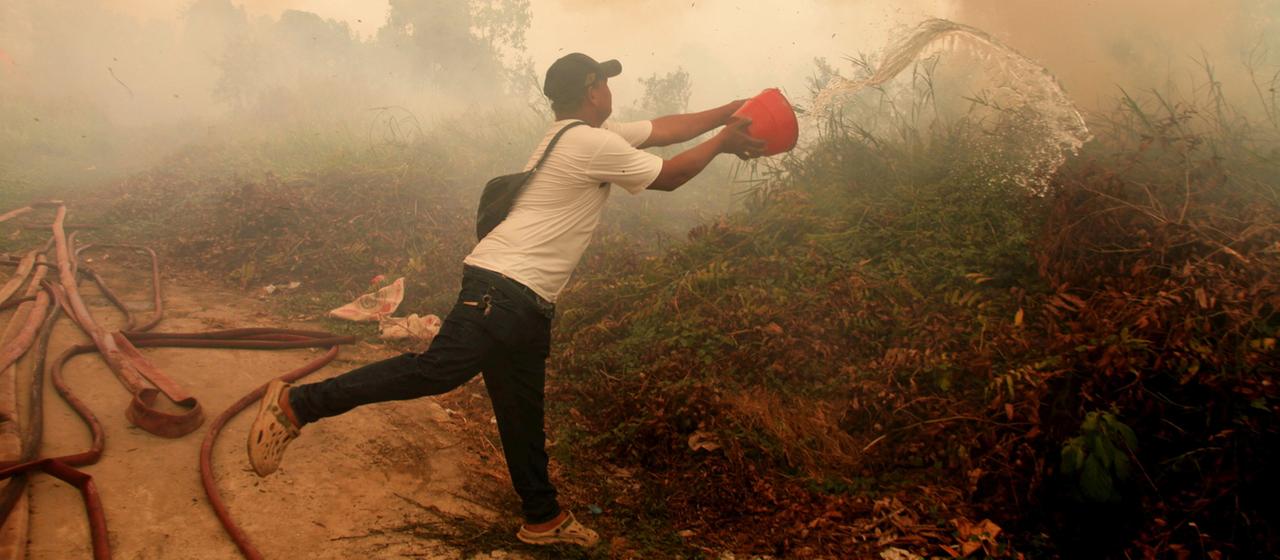 Massive Waldbrände in Indonesien, Kritik an Regierung