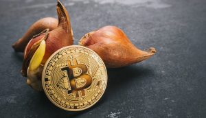 Erlebt Bitcoin bald dasselbe Ende wie die Tulpenmanie?