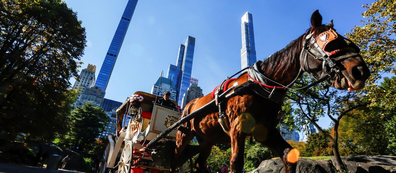 Pferdekutschen im New Yorker Central Park sollen abgeschafft werden