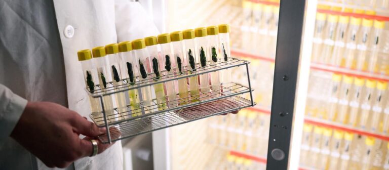 Optogenetik: Medizin Nobelpreis für den Lichtschalter im Gehirn