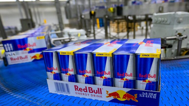 Red Bull Fabrik in Brandenburg: Kampf ums Trinkwasser in Baruth