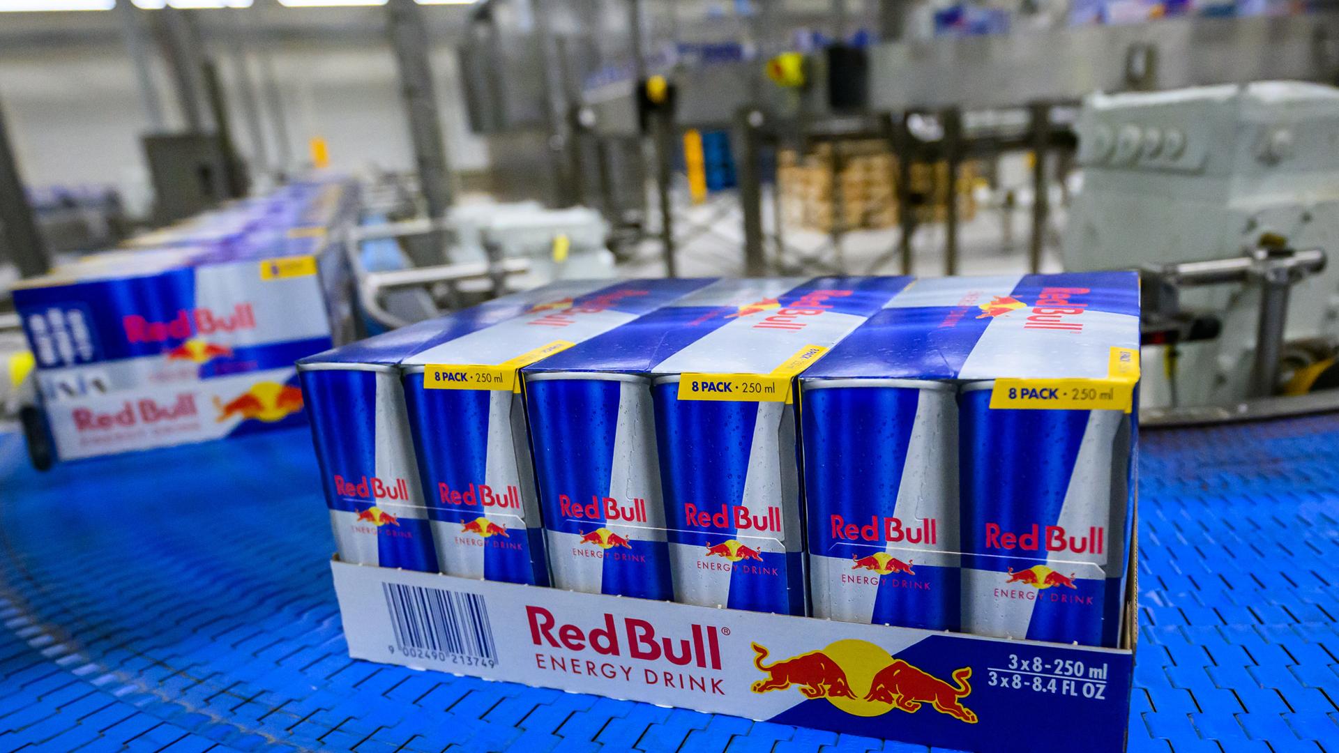 Red Bull Fabrik in Brandenburg: Kampf ums Trinkwasser in Baruth