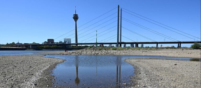 Schneider fordert einen anderen Umgang mit Wasser